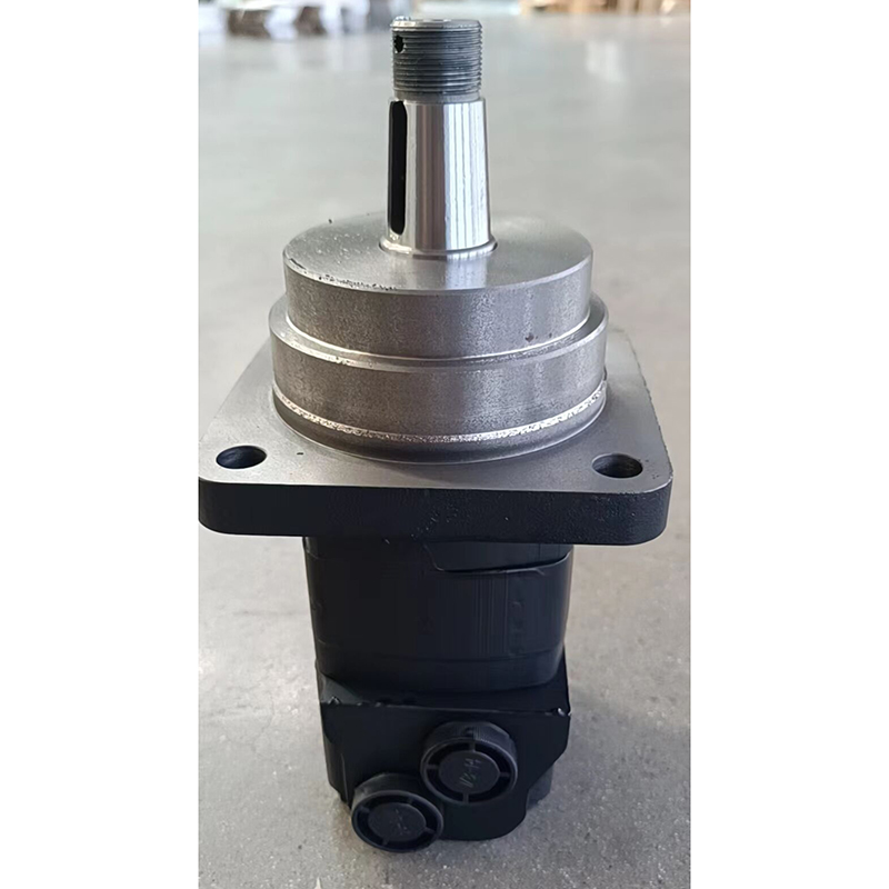Ma?geschneidert für Eaton Char-Lynn 2000 Serie - Hydraulikmotor 105-1196-006 1051196006