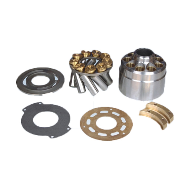 Passend für Hawe V30D250 - Hydraulikpumpe Reparatur Ersatzteile Kit