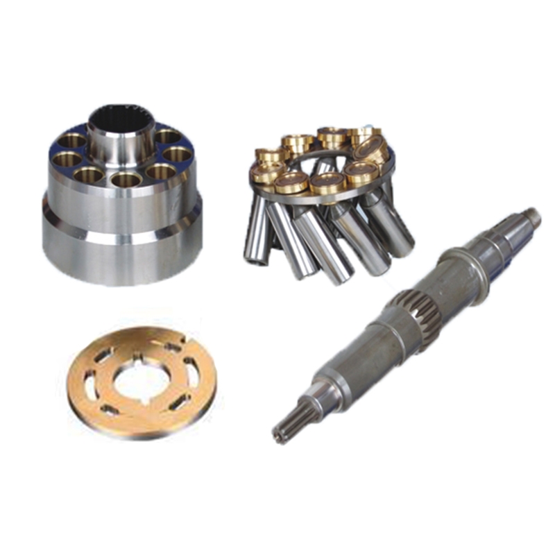 Ma?geschneidert für Parker PV250 - Hydraulische Pumpen Reparatur Ersatzteile Kit