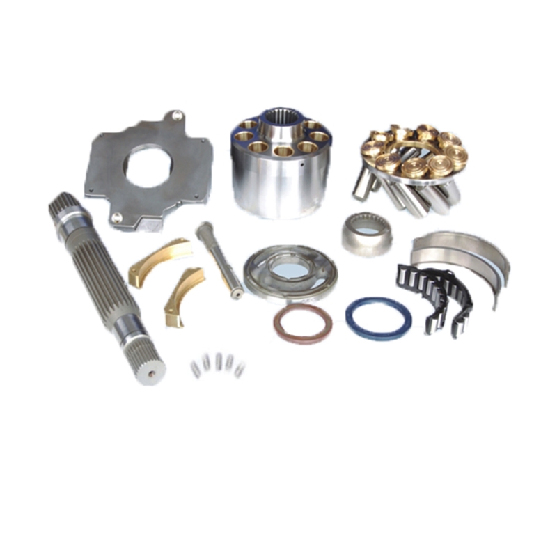 Entwickelt für Rexroth A11V060 - Hydraulische Pumpen Reparatur Teile Kit