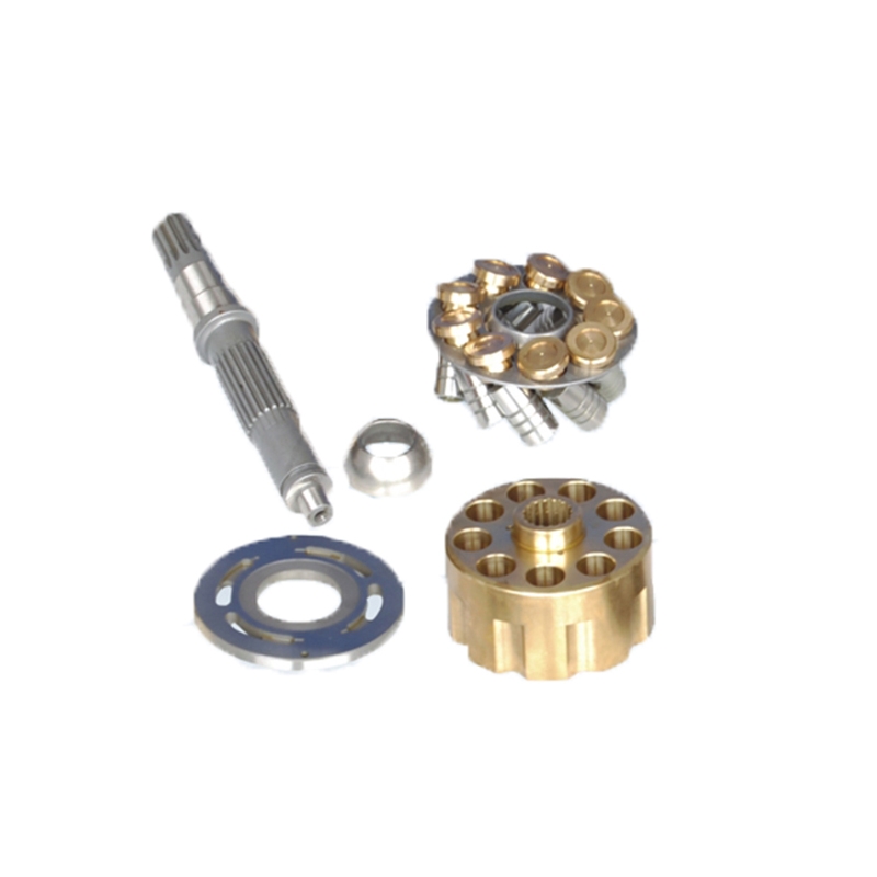 Speziell für Rexroth A15VS0210 - Hydraulische Pumpen Reparatur Ersatzteile Kit
