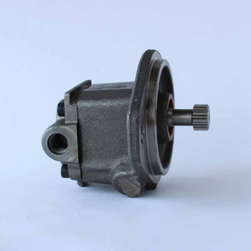 Ma?geschneidert für Perkins Motortyp JGA06 JGB06 JGD06 JGW06 JGX06 JGY06 JGZ06 MGA06 MGB06 MGD06 MMGL06 - Hebepumpe KRP1721 KRP1679 KRP1555 CH10877