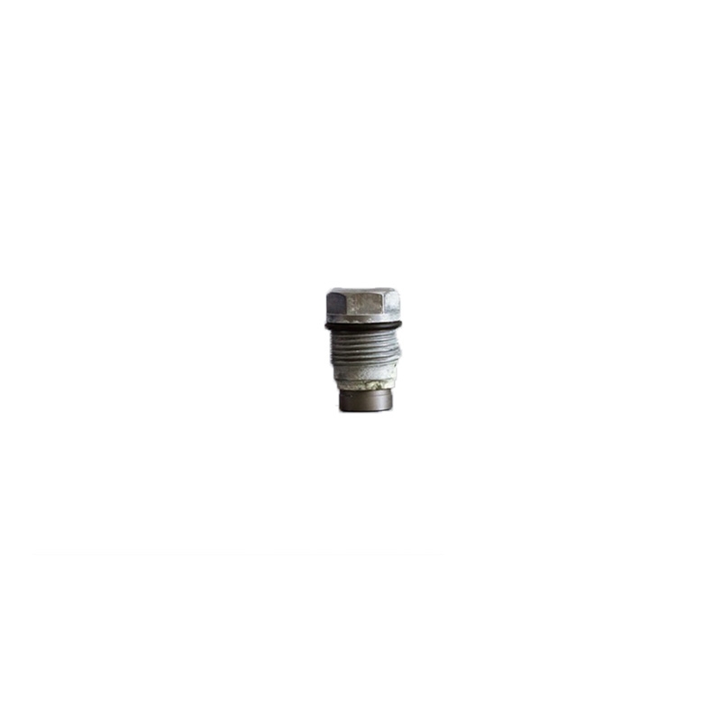 Perfekt für Bosch - Original Common Rail Pressure Relief Ventildruck Limting Ventil 1110010016