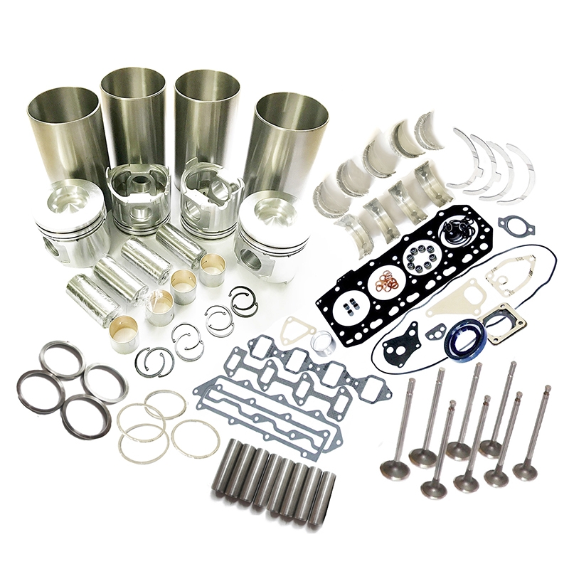 Geeignet für Isuzu Motor 4HL1 CASE Bagger CX210B CX230B CX225 CX240B - überholung Rebuid Kit CX210B, CX230B, CX225, CX240B