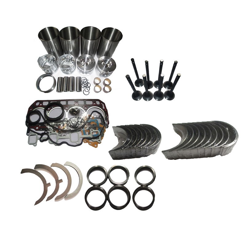 Passend für Caterpillar CAT C1.1 Engine - Original Overhaul Umbau Kit