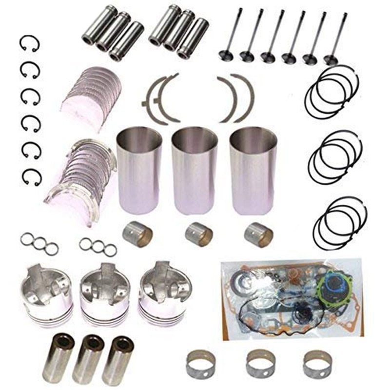 Ma?geschneidert für Kubota D850 D850BH D850-5B Motorbagger KH35 Skid Loader T83S Traktor B1550HSD - Overhaul Rebuild Kit B1550D,B1550HST-D,B1550HST-E,B6200D,6200E,B6200HST-D,B6200HST-E,KH35