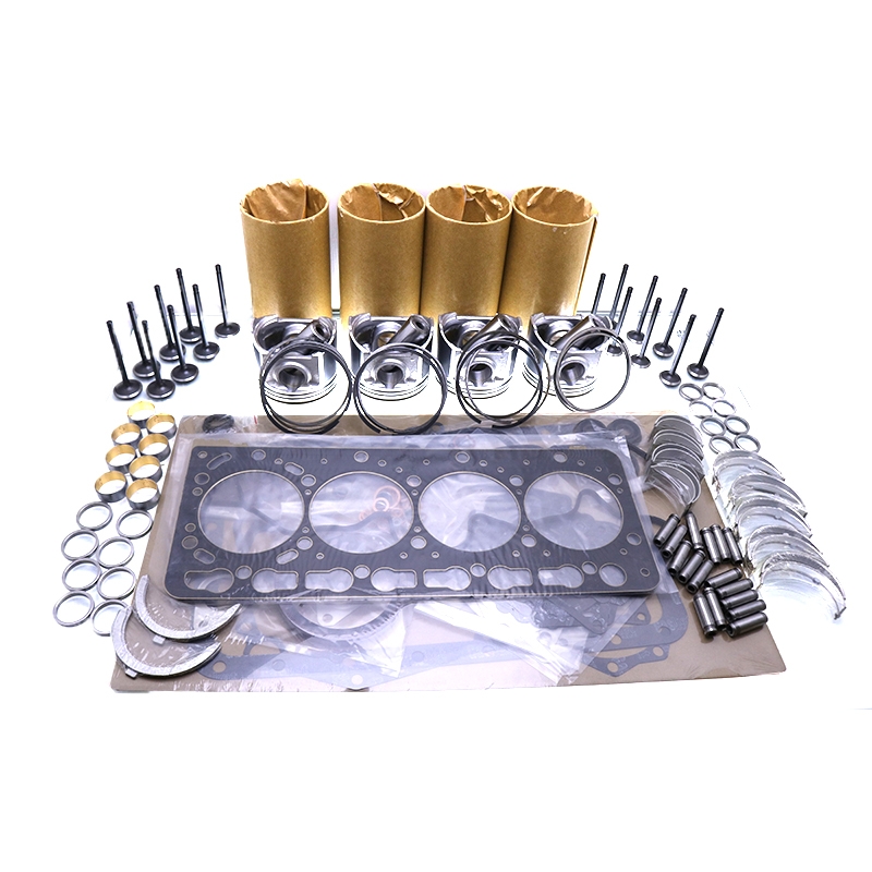 Perfekt für Cummins 4BTA 3.9 Motor Seriennummer 44278800 - überholung Neubausatz