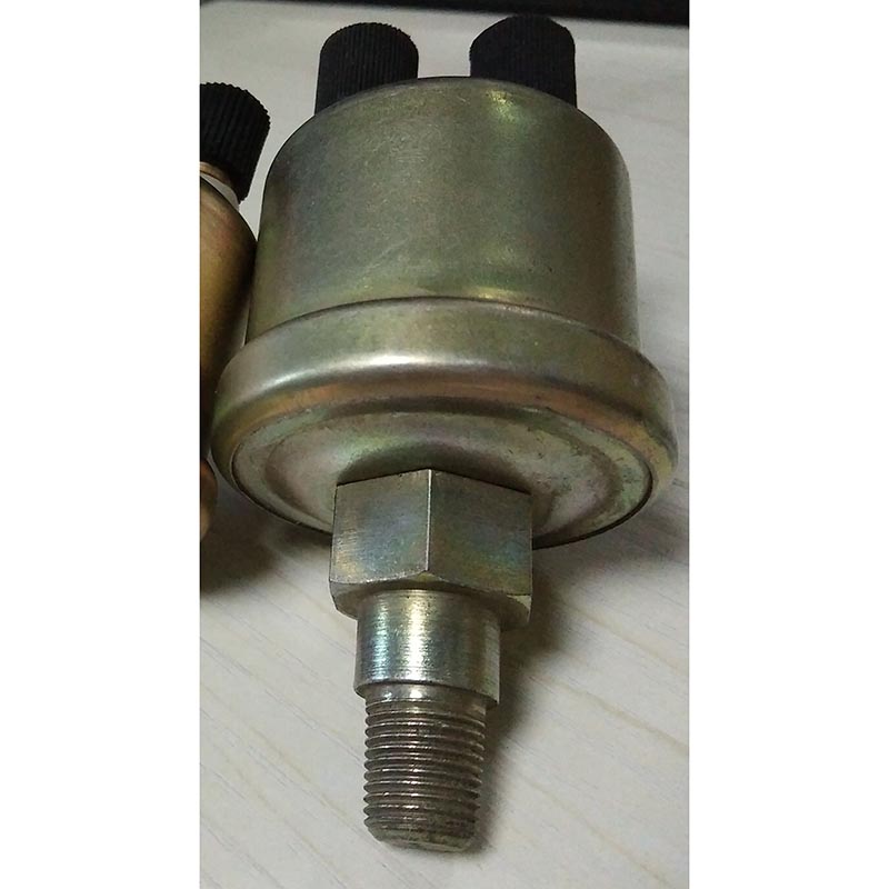 Hergestellt für Cummins Motor 6CT8.3 ISB B4.5S ISF3.8 QSB5.9-44 - Drucksensor 4938334 C4938334
