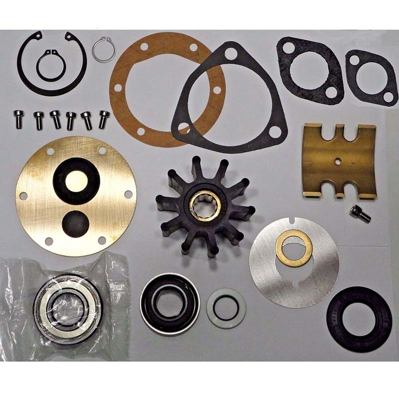Funktioniert gut mit Perkins See Seewasserpumpe 2488275 Jabsco 9700-01 mit Dichtungen - Bausatz 970001 6354 6.354 6-354