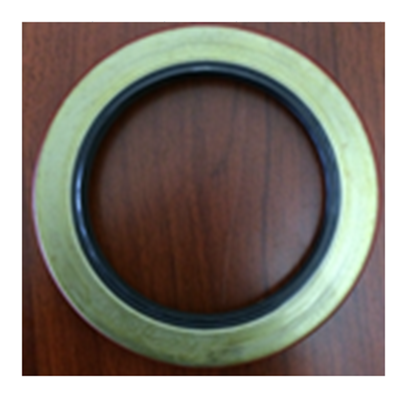 Passend für Bobcat 863 873 883 S220 S250 S300 S630 S770 - Seal 6671138 863,883,883,S220,S300,S630,S750,S770