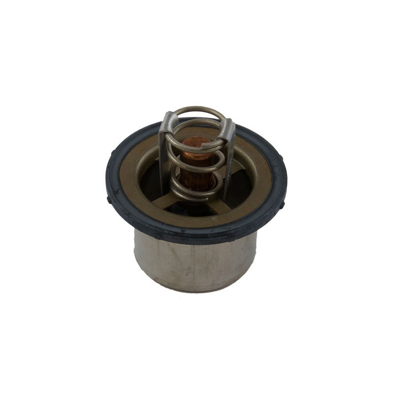 Funktioniert gut mit Cummins Engine ISX QSX - Thermostat 4318947