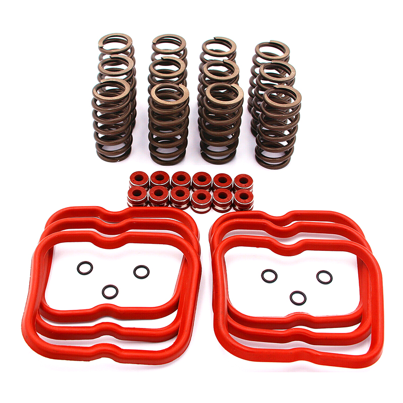 Kompatibel mit Cummins Motor 6BT 5.9 12V 89-98 - Upgraded Set 12 High RPM Ventilfedern Dichtungen 3916691 3902666 3921640 3910824 3926700 3916691