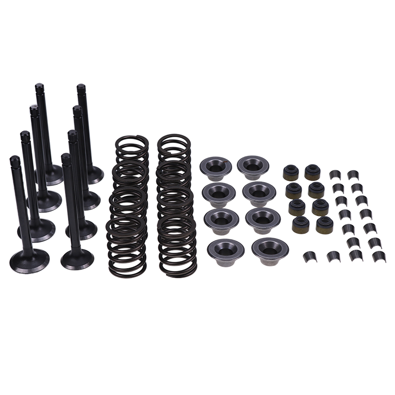 Auf Kubota Motor V2203 gebaut - Ventilzug Kit