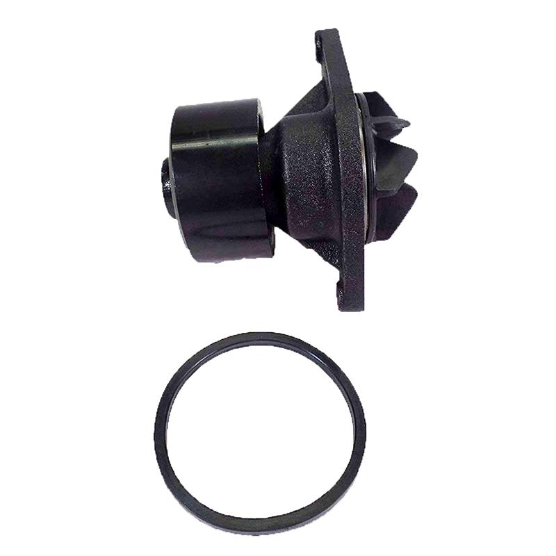 Perfekt für Cummins Motor QSB5,9-44 ISBe4 ISD6.7 QSB6.7 QSB3.9-30 in USA - Wasserpumpe 4891252 B4.5 B4.5 RGT B4.5 GAS PLUS CM556 B5.9 LPG B5.9 LPG PLUS CM556 B6.7 G CMOH6.0 B125
