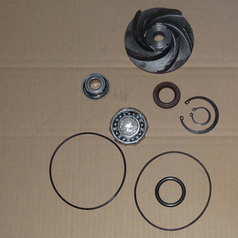 Ma?geschneidert für Cummins M11 Motor - Wasserpumpe Reparatur Kit 4955802